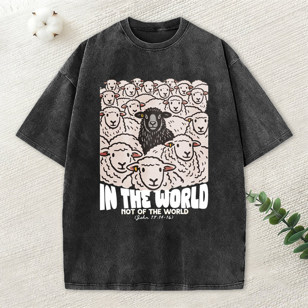 In The World Not Of The World Christian Washed T-Shirt
