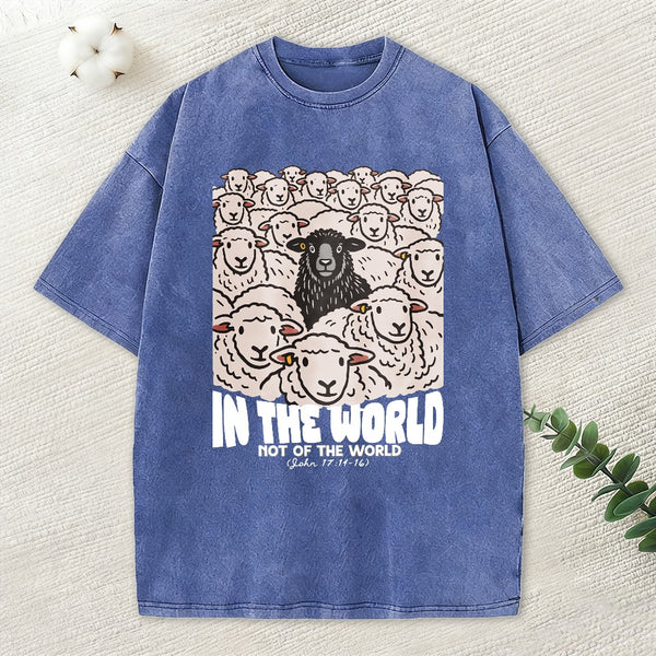 In The World Not Of The World Christian Washed T-Shirt