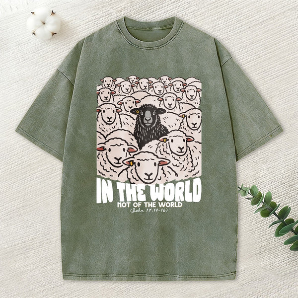 In The World Not Of The World Christian Washed T-Shirt