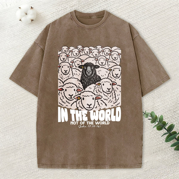 In The World Not Of The World Christian Washed T-Shirt
