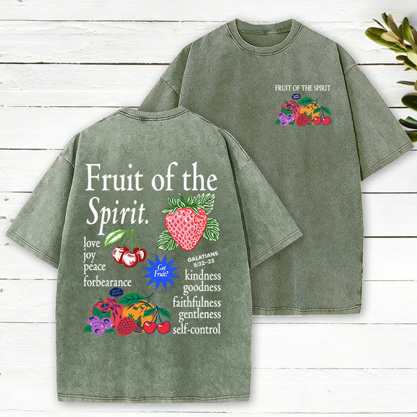 Fruit Of The Spirit Christian Washed T-Shirt
