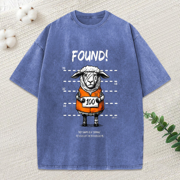 Found Sheep Christian Washed T-Shirt