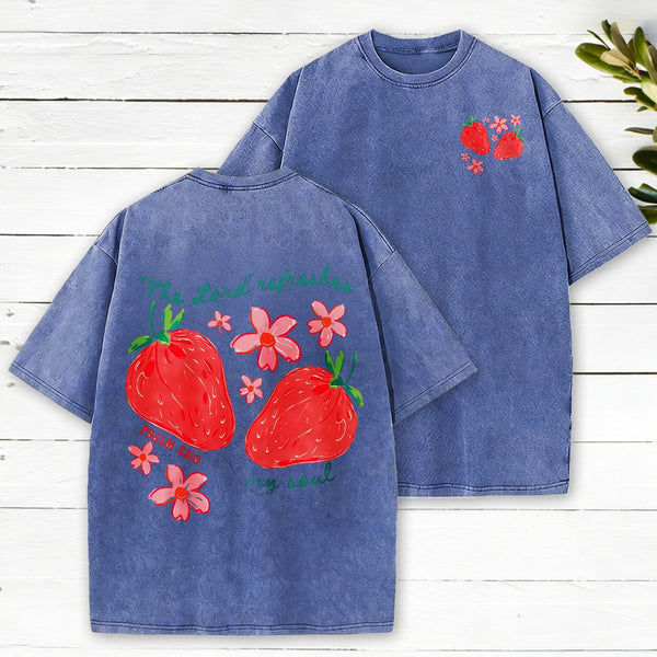 The Lord Refreshes My Soul Christian Washed T-Shirt