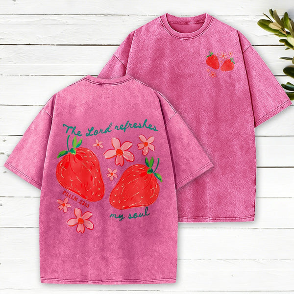 The Lord Refreshes My Soul Christian Washed T-Shirt