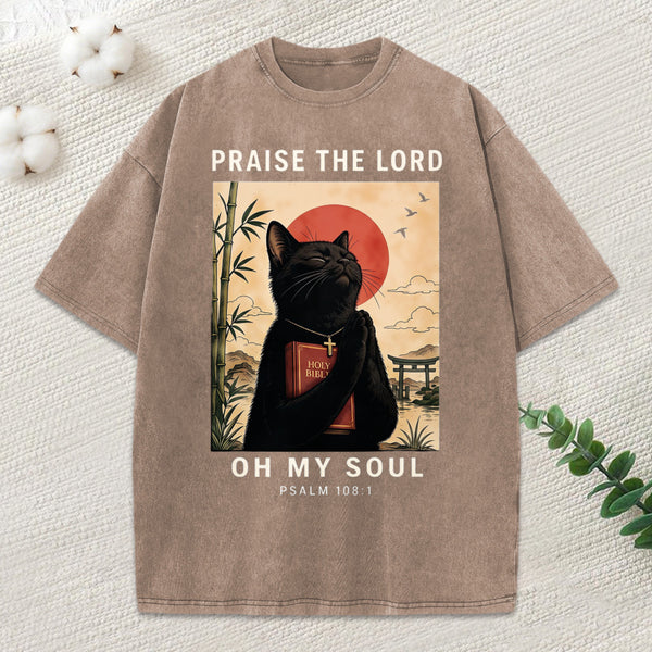 Praise The Lord Oh My Soul Christian Washed T-Shirt