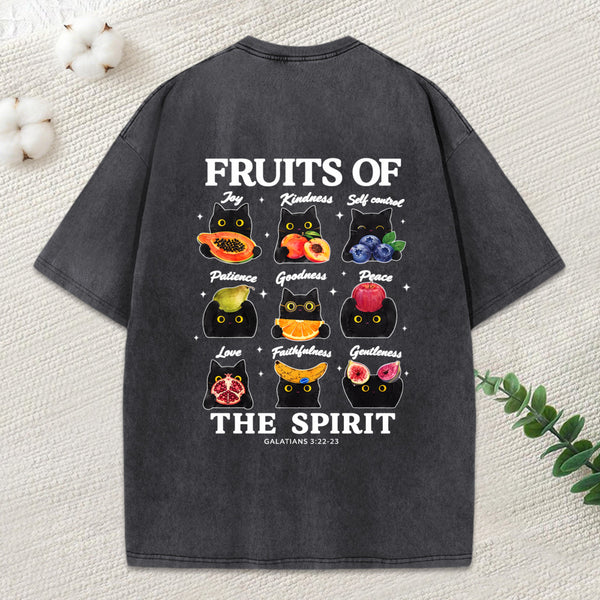 Fruits Of The Spirit Christian Washed T-Shirt