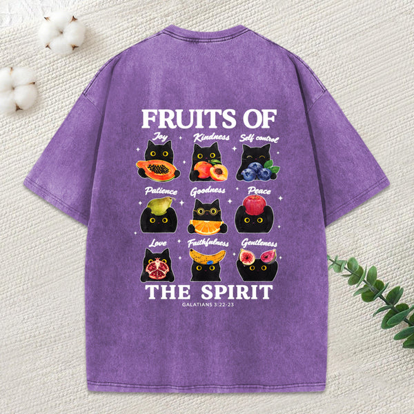 Fruits Of The Spirit Christian Washed T-Shirt