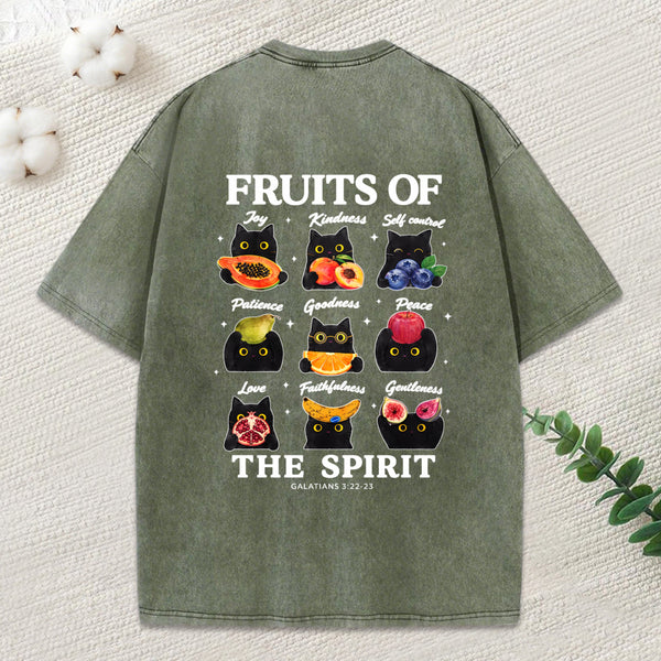 Fruits Of The Spirit Christian Washed T-Shirt