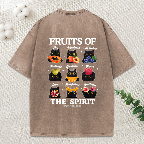 Fruits Of The Spirit Christian Washed T-Shirt