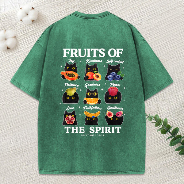 Fruits Of The Spirit Christian Washed T-Shirt