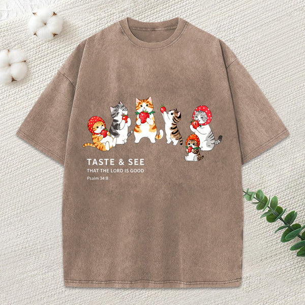 The Lord Is Good Christian Washed T-Shirt